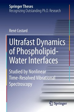 Ultrafast Dynamics of Phospholipid-Water Interfaces - Costard, René