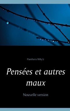 Pensées et autres maux (eBook, ePUB) - Why'z, Panthera