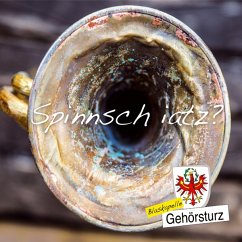 Spinnsch Iatz? - Blaskapelle Gehörsturz