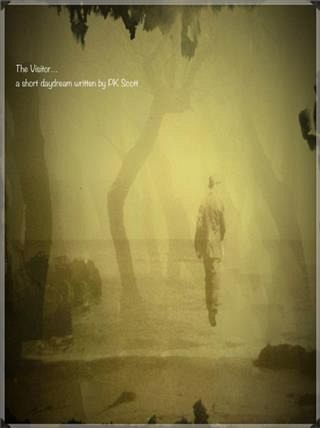 Visitor (eBook, ePUB) Visitor (eBook, ePUB)