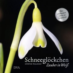 Schneeglöckchen - Waldorf, Günter