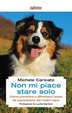 Cover Non mi piace stare solo (eBook, ePUB)