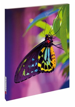 Butterfly Blankbook