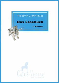 Testflipping. Lesen ab der 2. Klasse - Reichel, Miriam