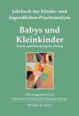 Babys und Kleinkinder (eBook, PDF)