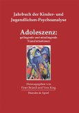 Adoleszenz: gelingende und misslingende Transformationen (eBook, PDF)