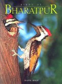Birds of Bharatpur