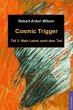 Cosmic Trigger 3 (eBook, ePUB) - Bild 1