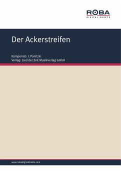 Der Ackerstreifen (eBook, PDF) - Panitzki, I.