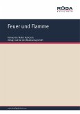 Feuer und Flamme (eBook, PDF)