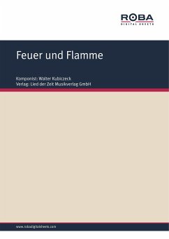 Feuer und Flamme (eBook, PDF) - Kubiczeck, Walter