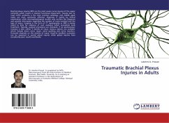 Traumatic Brachial Plexus Injuries in Adults - Prasad, Lakshmi G.