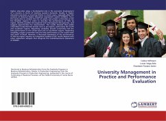 University Management in Practice and Performance Evaluation