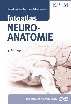 Fotoatlas Neuroanatomie - Valerius, Klaus-Peter;Duncker, Hans-Rainer