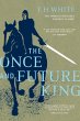 The Once and Future King (eBook, ePUB) - Bild 1