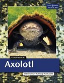 Axolotl Axolotl