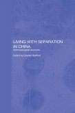 Living with Separation in China (eBook, PDF)