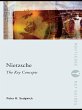 Nietzsche: The Key Concepts (eBook, PDF) - Bild 1