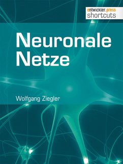 Neuronale Netze (eBook, ePUB) - Ziegler, Wolfgang