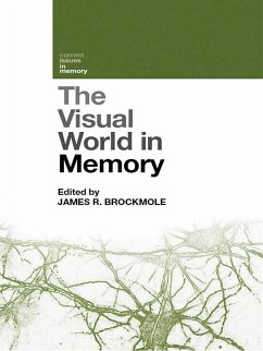 The Visual World in Memory (eBook, PDF)