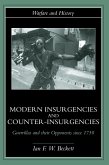 Modern Insurgencies and Counter-Insurgencies (eBook, PDF)