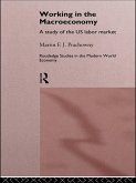 Working in the Macro Economy (eBook, PDF)