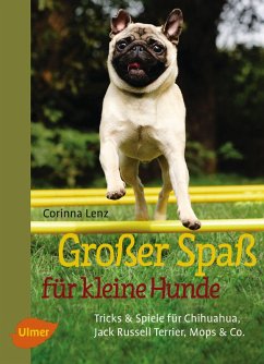 Großer Spaß für kleine Hunde (eBook, ePUB) - Lenz, Corinna