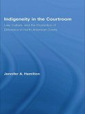 Indigeneity in the Courtroom (eBook, PDF)