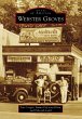 Webster Groves (eBook, ePUB) - Bild 1