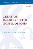 Creation Imagery in the Gospel of John (eBook, PDF)