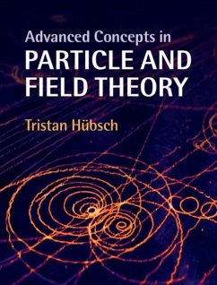 Advanced Concepts in Particle and Field Theory (eBook, PDF) - Hubsch, Tristan