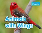 Animals with Wings (eBook, PDF)