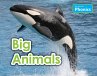 Big Animals (eBook, PDF) - Bild 1
