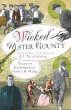 Wicked Ulster County (eBook, ePUB) - Bild 1