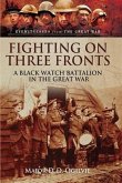 Fighting on Three Fronts (eBook, ePUB)