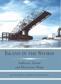 Island in the Storm (eBook, ePUB)