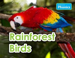 Cover Rainforest Birds (eBook, PDF)