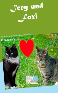 Icey und Foxi (eBook, ePUB) - Kreft, U. Stefania