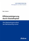 Effizienzsteigerung durch Sozialkapital (eBook, ePUB)