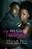 Try a Little Tenderness (eBook, ePUB)