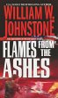 Flames from the Ashes (eBook, ePUB) - Bild 1