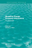 Modeling Energy-Economy Interactions (eBook, ePUB)