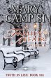 A Family Affair: Winter (Truth in Lies,... - Bild 1