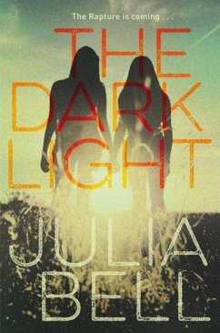 Cover The Dark Light (eBook, ePUB)