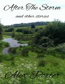 After the Storm and Other Stories (eBook, ePUB)