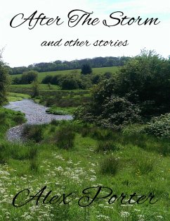 Cover After the Storm and Other Stories (eBook, ePUB)
