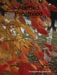 Aborted Priesthood (eBook, ePUB) - Bild 1