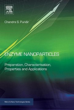 Enzyme Nanoparticles (eBook, ePUB) - Pundir, Chandra S.