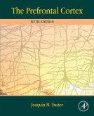 The Prefrontal Cortex (eBook, ePUB)