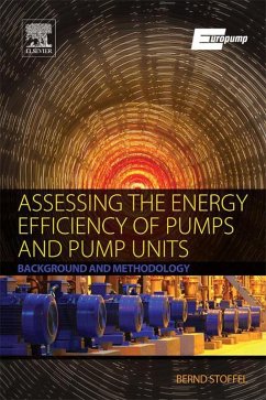 Assessing the Energy Efficiency of Pumps and Pump Units (eBook, ePUB) - Stoffel, em. -Ing Bernd